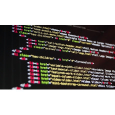 240: Advanced Website Development