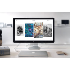 140: Website Development